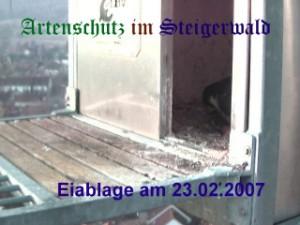 Copyright AiS / Wörner Bild zum Eintrag (27155-160)