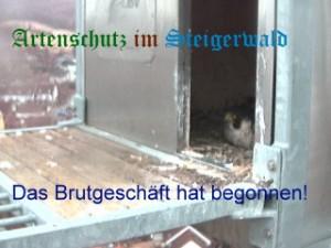 Copyright AiS / Wörner Bild zum Eintrag (27158-160)