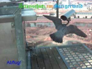 Copyright AiS / Wörner Bild zum Eintrag (27164-160)