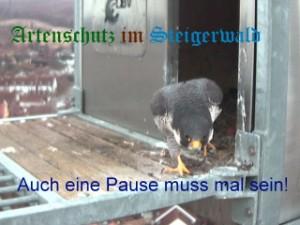 Copyright AiS / Wörner Bild zum Eintrag (27169-160)