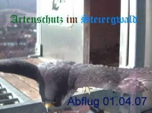 Copyright AiS / Wörner Bild zum Eintrag (27171-160)