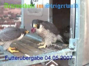 Copyright AiS / Wörner Bild zum Eintrag (27173-160)
