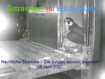Copyright AiS / Wörner Bild zum Eintrag (27178-160)