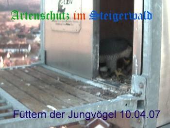 Copyright AiS / Wörner Bild zum Eintrag (27181-160)