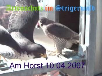 Copyright AiS / Wörner Bild zum Eintrag (27189-160)