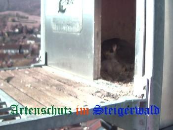Copyright AiS / Wörner Bild zum Eintrag (27190-160)