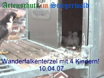 Copyright AiS / Wörner Bild zum Eintrag (27192-160)