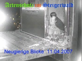 Copyright AiS / Wörner Bild zum Eintrag (27196-160)
