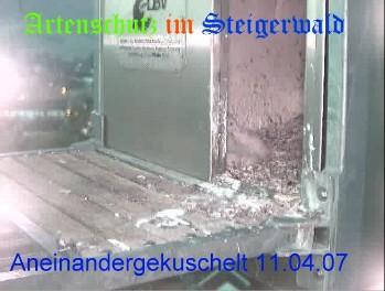 Copyright AiS / Wörner Bild zum Eintrag (27197-160)
