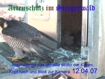 Copyright AiS / Wörner Bild zum Eintrag (27198-160)