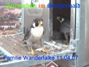 Copyright AiS / Wörner Bild zum Eintrag (27199-160)