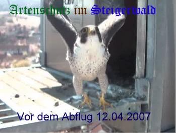 Copyright AiS / Wörner Bild zum Eintrag (27205-160)