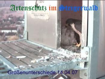 Copyright AiS / Wörner Bild zum Eintrag (27206-160)