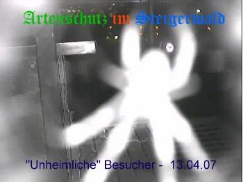Copyright AiS / Wörner Bild zum Eintrag (27211-160)