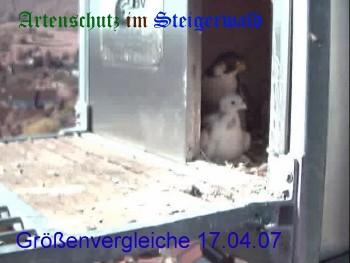 Copyright AiS / Wörner Bild zum Eintrag (27221-160)