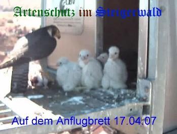 Copyright AiS / Wörner Bild zum Eintrag (27222-160)