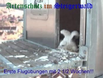 Copyright AiS / Wörner Bild zum Eintrag (27223-160)