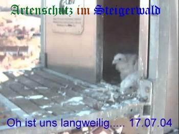 Copyright AiS / Wörner Bild zum Eintrag (27224-160)