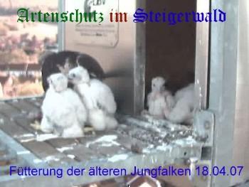 Copyright AiS / Wörner Bild zum Eintrag (27230-160)