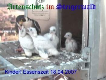 Copyright AiS / Wörner Bild zum Eintrag (27231-160)