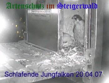 Copyright AiS / Wörner Bild zum Eintrag (27232-160)