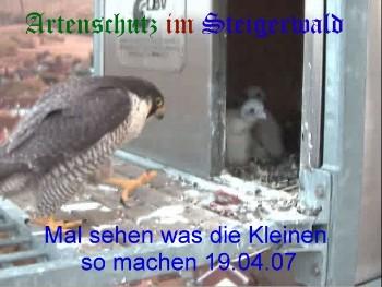 Copyright AiS / Wörner Bild zum Eintrag (27233-160)