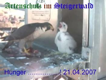 Copyright AiS / Wörner Bild zum Eintrag (27242-160)