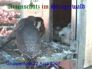 Copyright AiS / Wörner Bild zum Eintrag (27244-160)