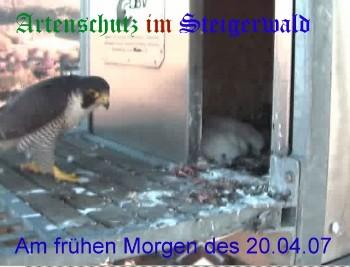 Copyright AiS / Wörner Bild zum Eintrag (27245-160)