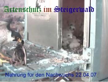Copyright AiS / Wörner Bild zum Eintrag (27247-160)