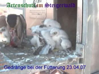 Copyright AiS / Wörner Bild zum Eintrag (27248-160)