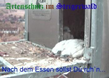 Copyright AiS / Wörner Bild zum Eintrag (27261-160)