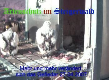 Copyright AiS / Wörner Bild zum Eintrag (27263-160)