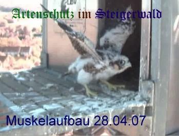 Copyright AiS / Wörner Bild zum Eintrag (27269-160)