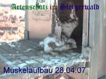 Copyright AiS / Wörner Bild zum Eintrag (27270-160)