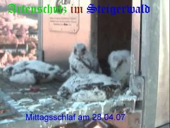 Copyright AiS / Wörner Bild zum Eintrag (27271-160)