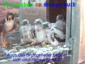 Copyright AiS / Wörner Bild zum Eintrag (27272-160)