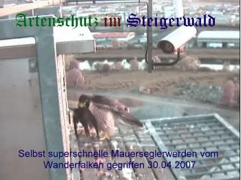 Copyright AiS / Wörner Bild zum Eintrag (27275-160)