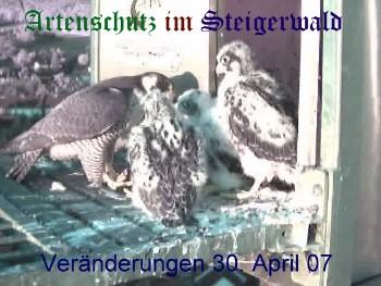 Copyright AiS / Wörner Bild zum Eintrag (27276-160)