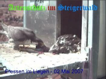 Copyright AiS / Wörner Bild zum Eintrag (27277-160)