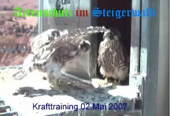 Copyright AiS / Wörner Bild zum Eintrag (27285-160)
