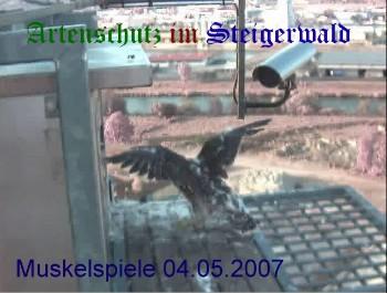Copyright AiS / Wörner Bild zum Eintrag (27287-160)
