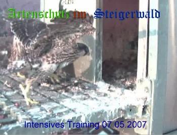 Copyright AiS / Wörner Bild zum Eintrag (27292-160)