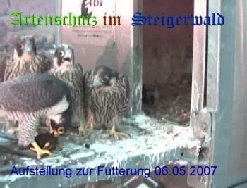 Copyright AiS / Wörner Bild zum Eintrag (27293-160)