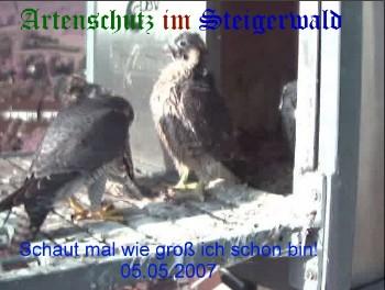 Copyright AiS / Wörner Bild zum Eintrag (27294-160)