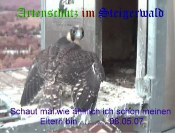 Copyright AiS / Wörner Bild zum Eintrag (27300-160)
