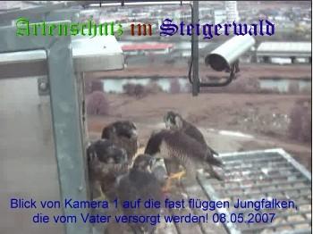 Copyright AiS / Wörner Bild zum Eintrag (27301-160)