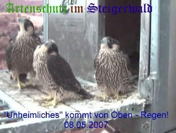 Copyright AiS / Wörner Bild zum Eintrag (27302-160)