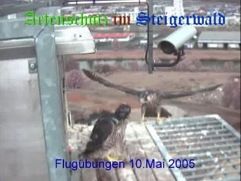 Copyright AiS / Wörner Bild zum Eintrag (27304-160)