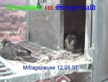 Copyright AiS / Wörner Bild zum Eintrag (27306-160)